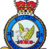 cg - Squadron Badge1